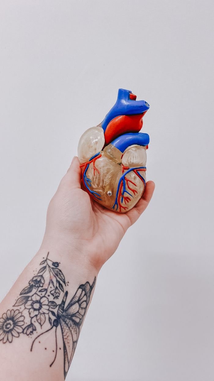 services-hero A tattooed hand holds a colorful anatomical heart model against a plain background.